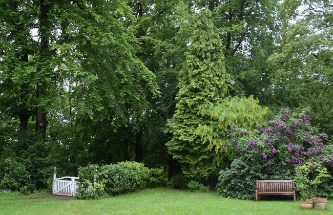 Flat in Eutin on the Kleiner Eutiner See Lake - Foto 56