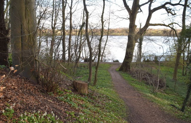 Flat in Eutin on the Kleiner Eutiner See Lake - Foto 66