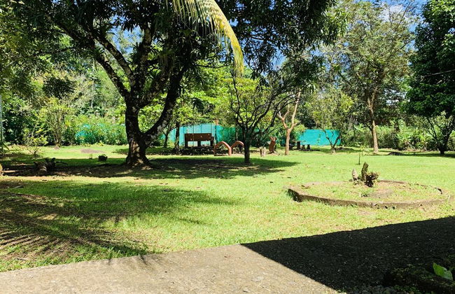 TIPS Vacation - Foto 30