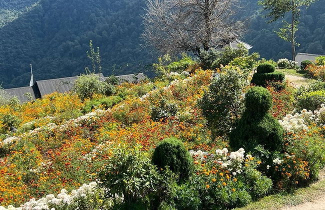 Prakriti Resort and Organic Farm - Foto 58