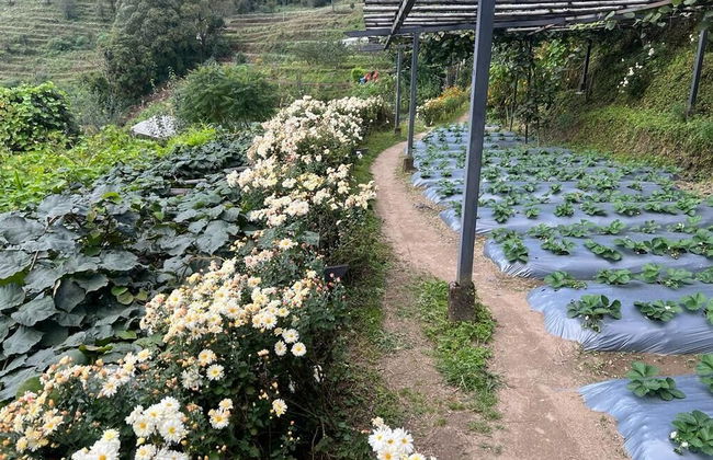 Prakriti Resort and Organic Farm - Foto 53