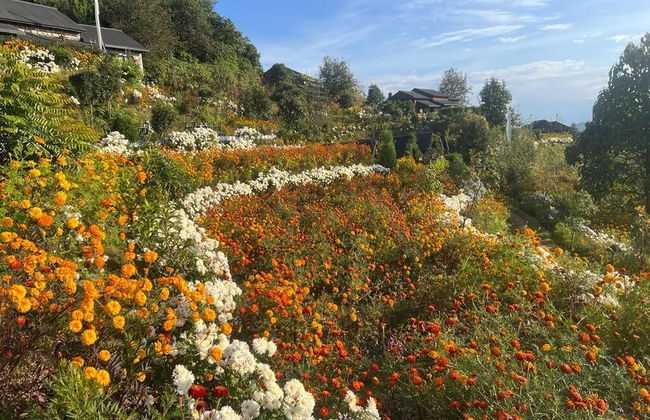 Prakriti Resort and Organic Farm - Foto 60