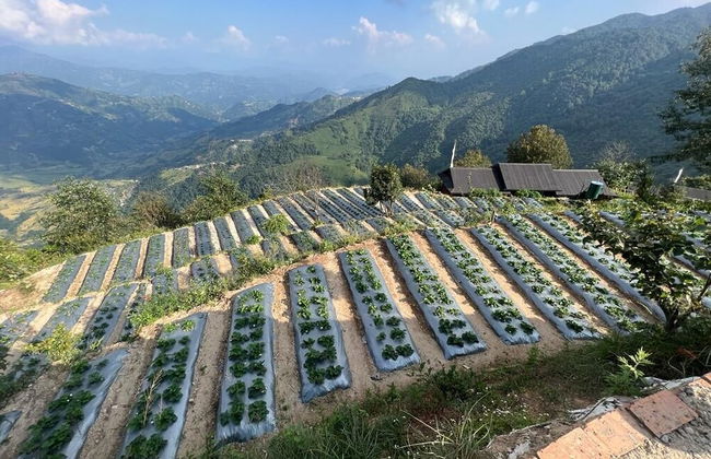 Prakriti Resort and Organic Farm - Foto 55