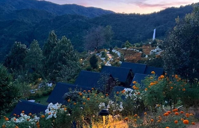 Prakriti Resort and Organic Farm - Foto 56