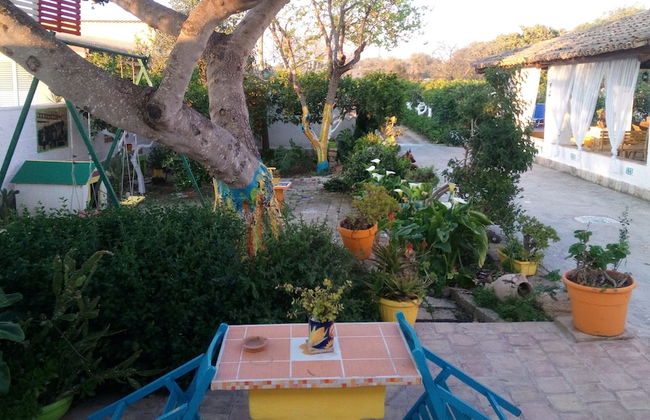 Zagara di Sicilia - Foto 77