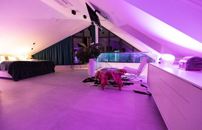 Penthouse at Eco Smart Apartments - Photo 10