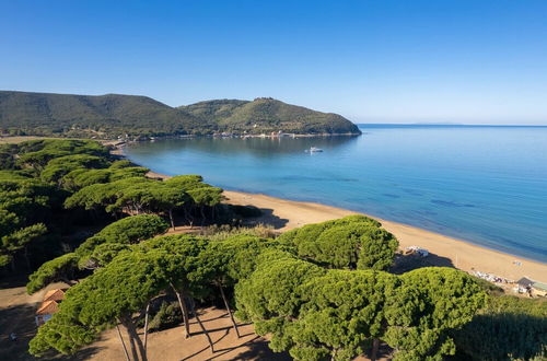 Photo 31 - luxury House In Populonia Above The Sea