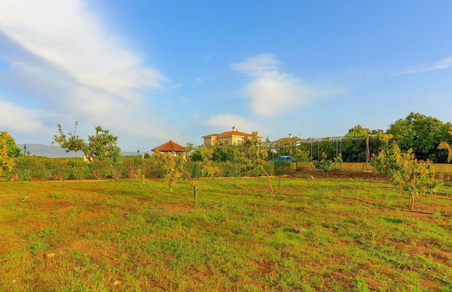 Villa Athina Finiki in Latchi - Photo 15