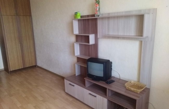 Apartment on Sovetskaya 17 A - Foto 5