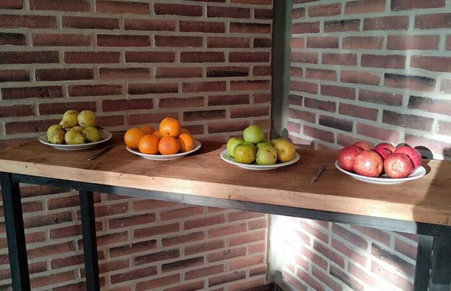 TIERRA MORA HOTEL BOUTIQUE - Foto 22