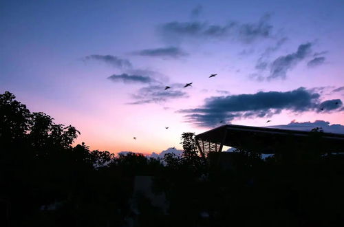 Foto 56 - Casa de Piedra Tulum