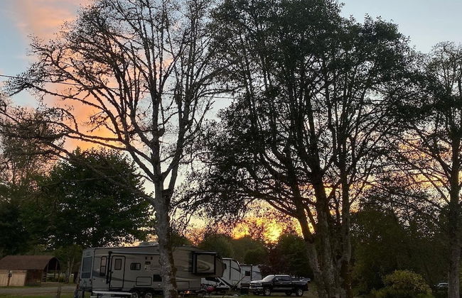 Wallicut River RV Resort & Cabins - Foto 12