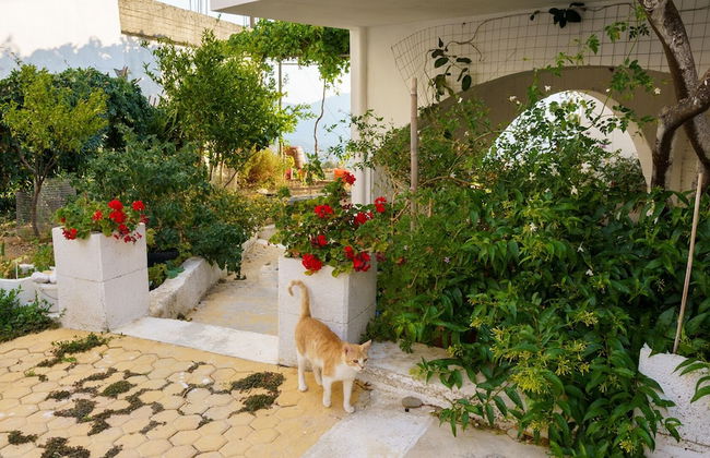 EMPHASIS Traditional House - Photo 25