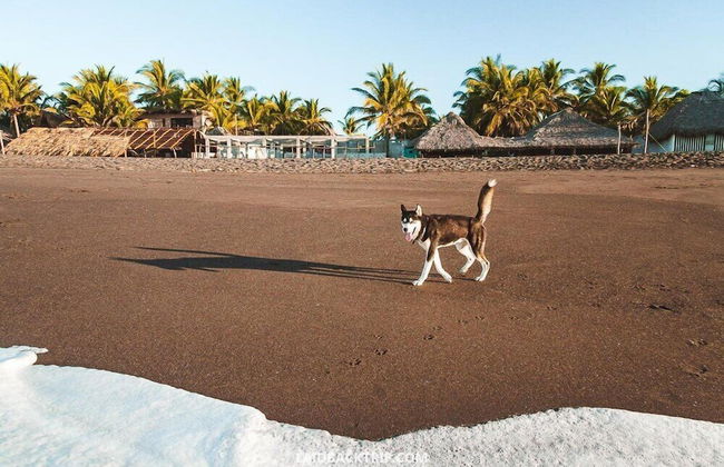Beach House in Monterrico Guatemala - Foto 53