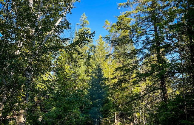 Firefly Lodge! Boardman River! Hot Tub! Woodstove! - Foto 30