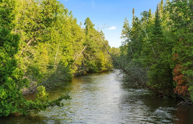 Firefly Lodge! Boardman River! Hot Tub! Woodstove! - Foto 21