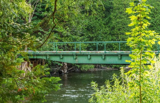 Firefly Lodge! Boardman River! Hot Tub! Woodstove! - Foto 47