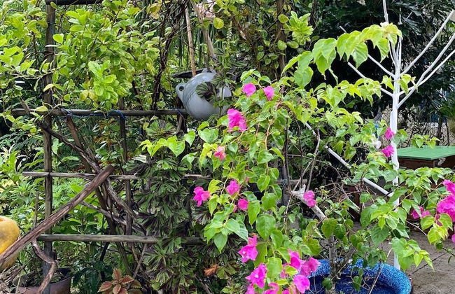 Milles Montagnes Residence - Foto 46