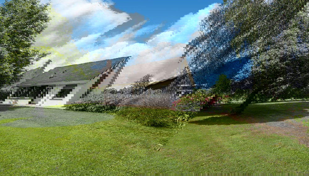 Primary image
