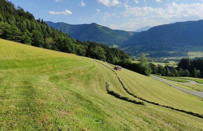 Apartment in Flachau Near Ski Lift - Foto 43