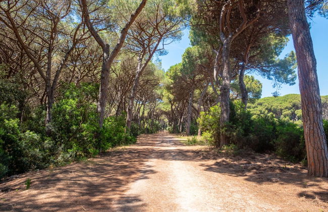 Chalet Vignarola in Orbetello - Foto 42