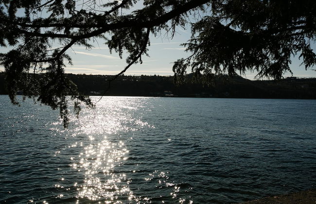 Alma - Near Lake in Sal - Foto 2