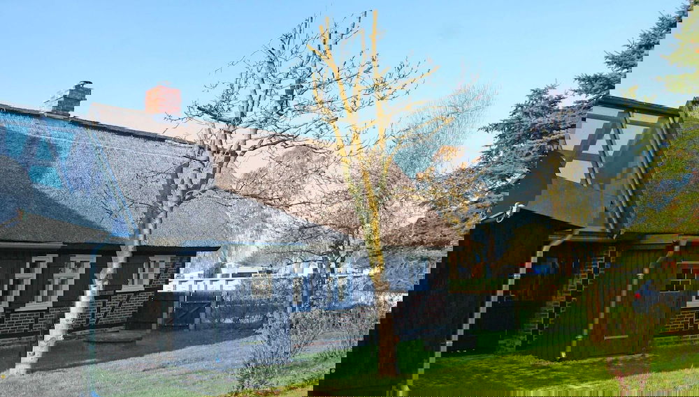Imagem principal
