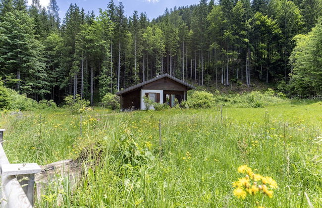 Holiday Home in Ferlach Near Woerthersee - Foto 24