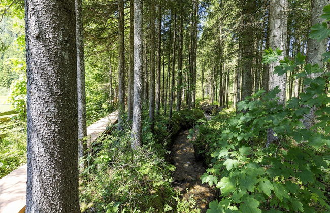 Holiday Home in Ferlach Near Woerthersee - Foto 34