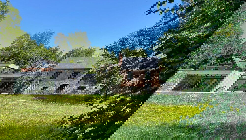 Primary image