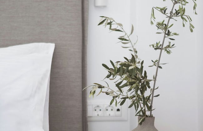 Hermes & Dione - Photo 3