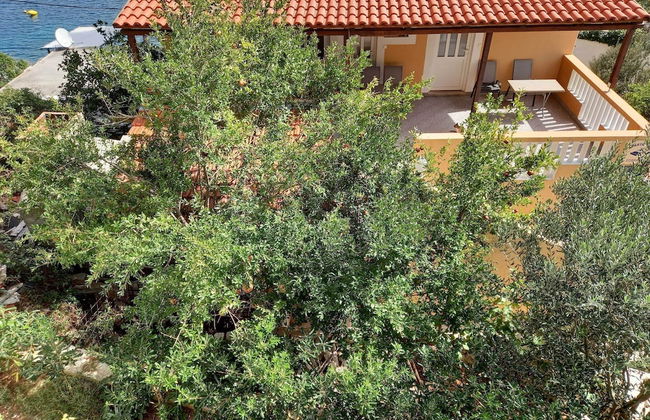 Apartments Vinko Mljet- One-bedroom Apartment With Terrace - Photo 16