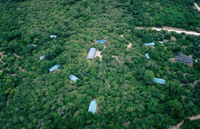 Lowin Yala - Foto 8