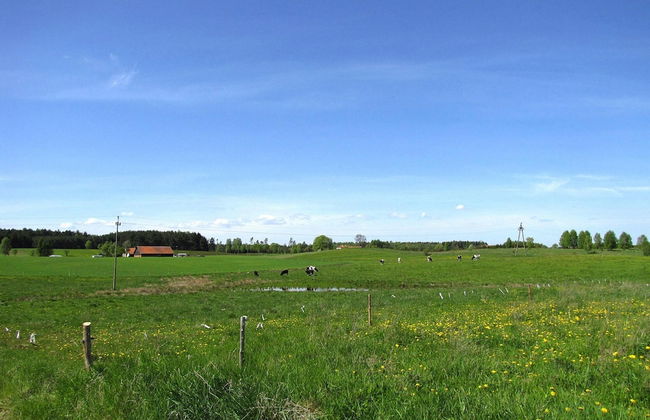 Cottage With Large Garden Near Lake - Foto 20