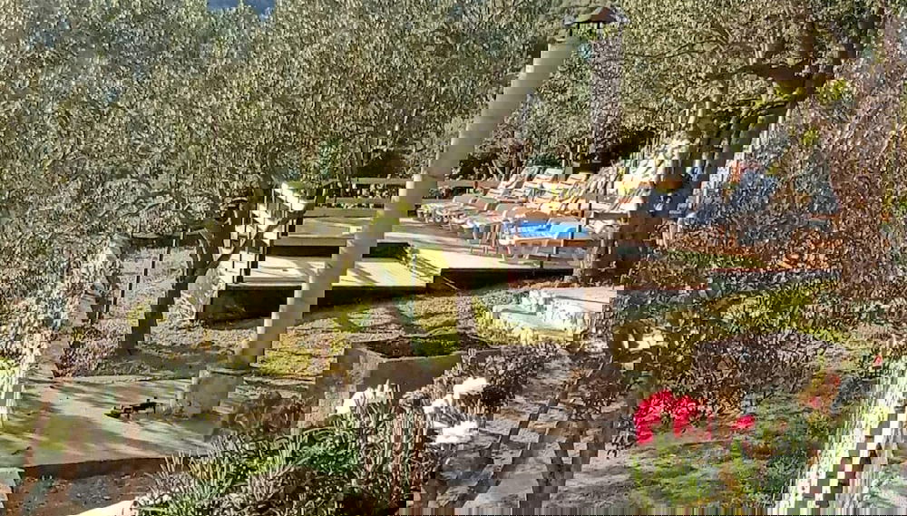Imagem principal