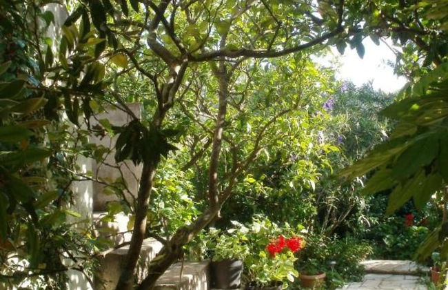 Seaside Holiday Home Andrija - Foto 28