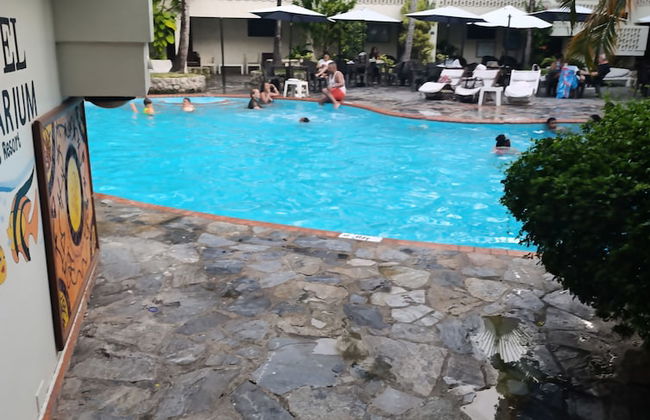 Acuario Residencial - Foto 17