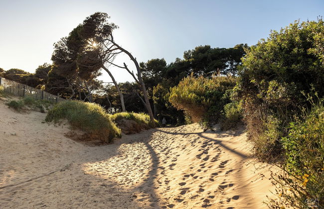 Villa Vue Mer 180 - Face aux îles d’Or - Foto 45