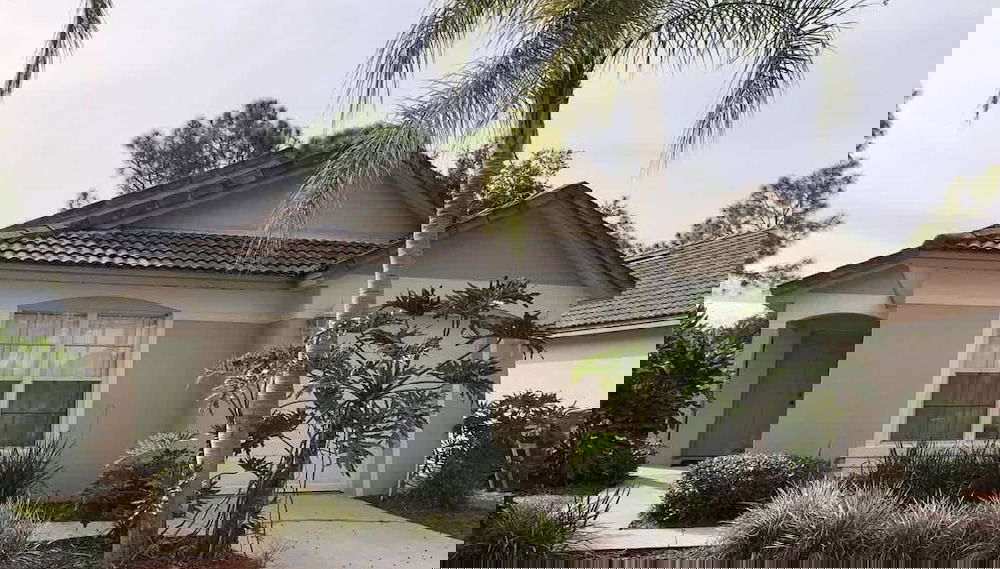 Primary image