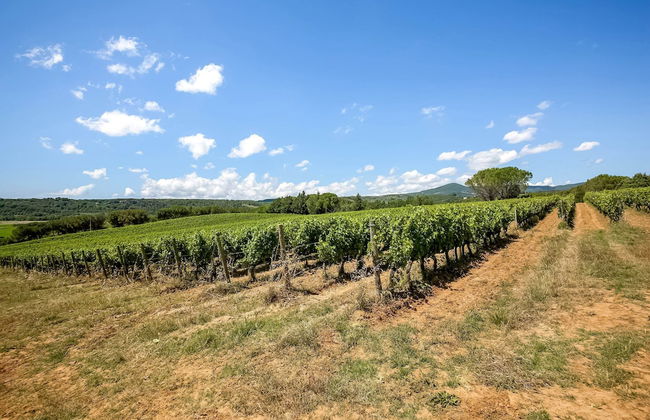 Farmhouse in Montescudaio With a Shared Pool Near sea & Park - Foto 80