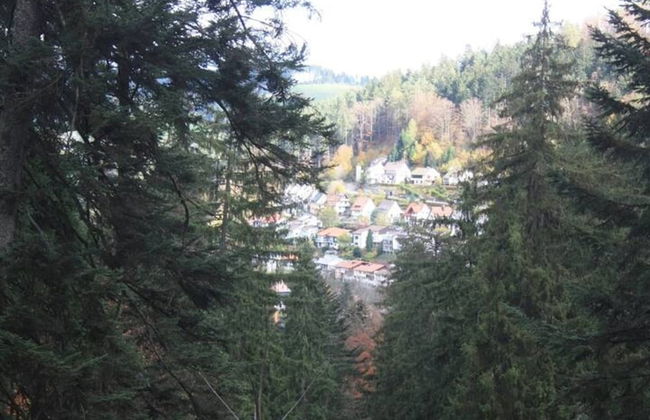 Hideaway Near Black Forest - Photo 29