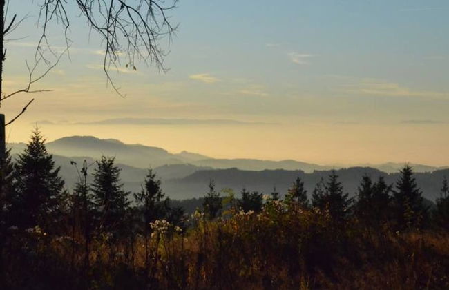 Ferienwohnung in Schiltach - Foto 26