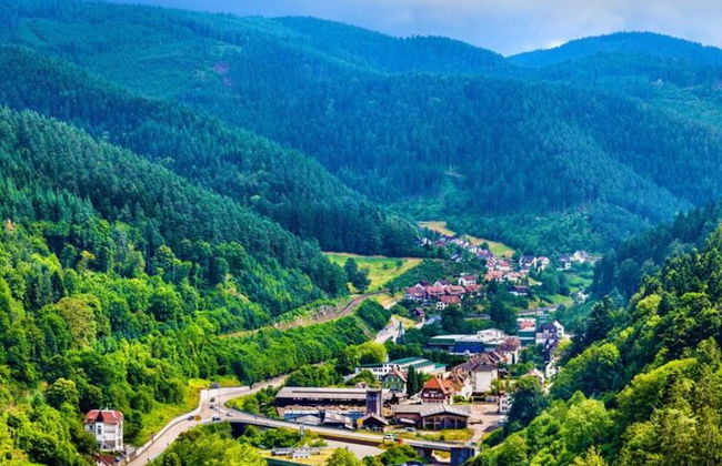 Hideaway Near Black Forest - Photo 28