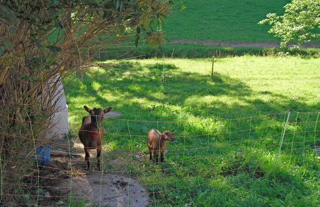 Comfortable Holiday Home in a Beautiful Location - Foto 25