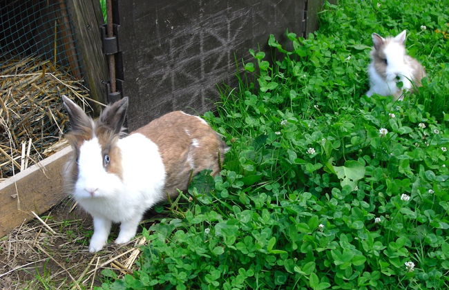 Comfortable Holiday Home in a Beautiful Location - Foto 27