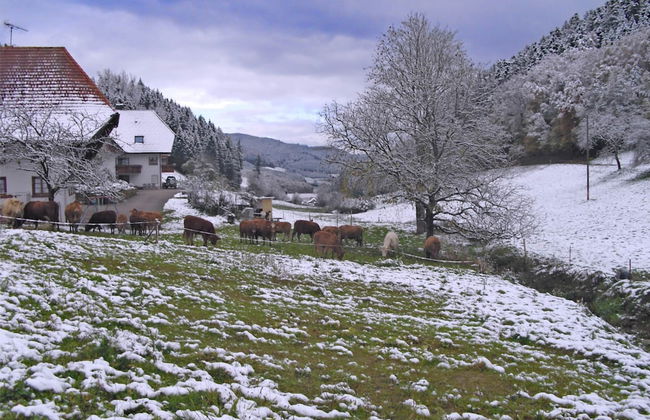 Comfortable Holiday Home in a Beautiful Location - Photo 23