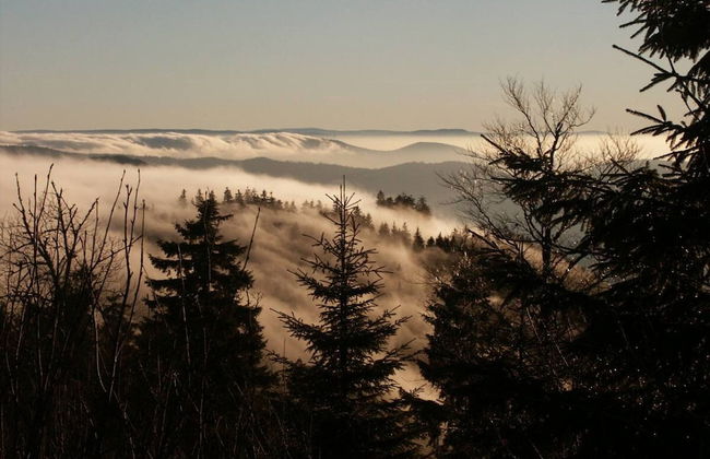 Hideaway Near Black Forest - Photo 23