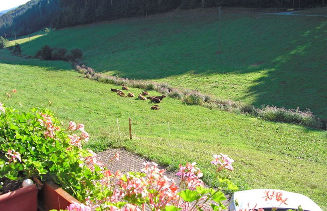 Comfortable Holiday Home in a Beautiful Location - Foto 79