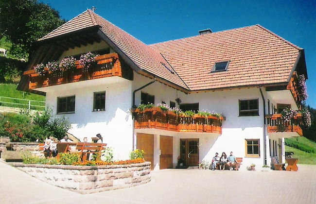 Comfy Apartment in Salmensbach near River - Foto 1