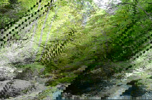 Foto 21 - Baita La Ciamorza Near Dolomiti - Veneto